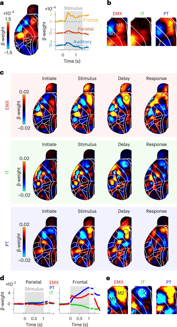 https://cdn.ncbi.nlm.nih.gov/pmc/blobs/fdea/9991922/c04a4ecb4c30/41593_2022_1245_Fig6_HTML.jpg