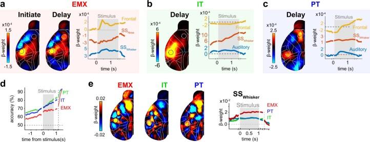https://cdn.ncbi.nlm.nih.gov/pmc/blobs/fdea/9991922/f5b7a641b370/41593_2022_1245_Fig13_ESM.jpg