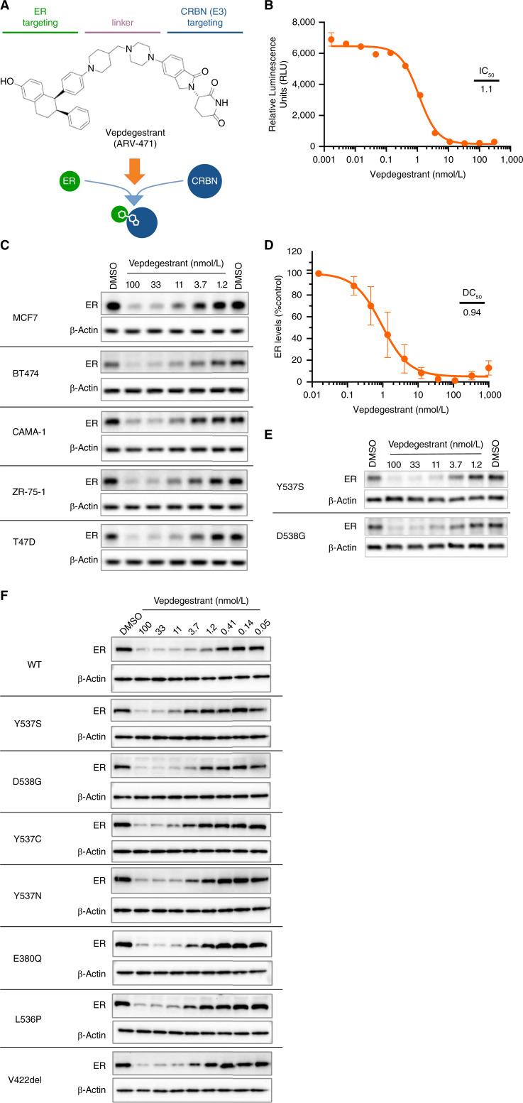 https://cdn.ncbi.nlm.nih.gov/pmc/blobs/fdeb/11325148/87e92afe81ea/ccr-23-3465_f1.jpg