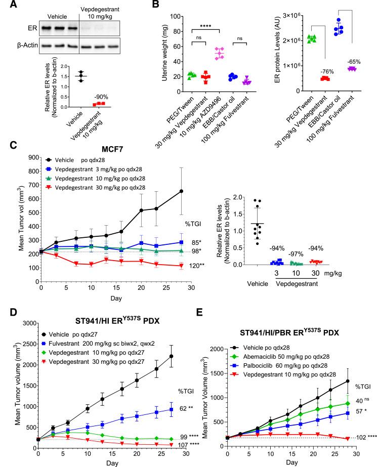 https://cdn.ncbi.nlm.nih.gov/pmc/blobs/fdeb/11325148/8f69edc979e7/ccr-23-3465_f5.jpg
