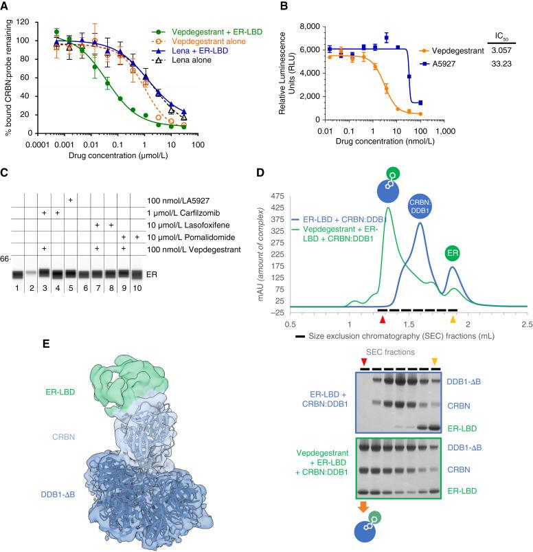 https://cdn.ncbi.nlm.nih.gov/pmc/blobs/fdeb/11325148/b817e7f462d3/ccr-23-3465_f2.jpg