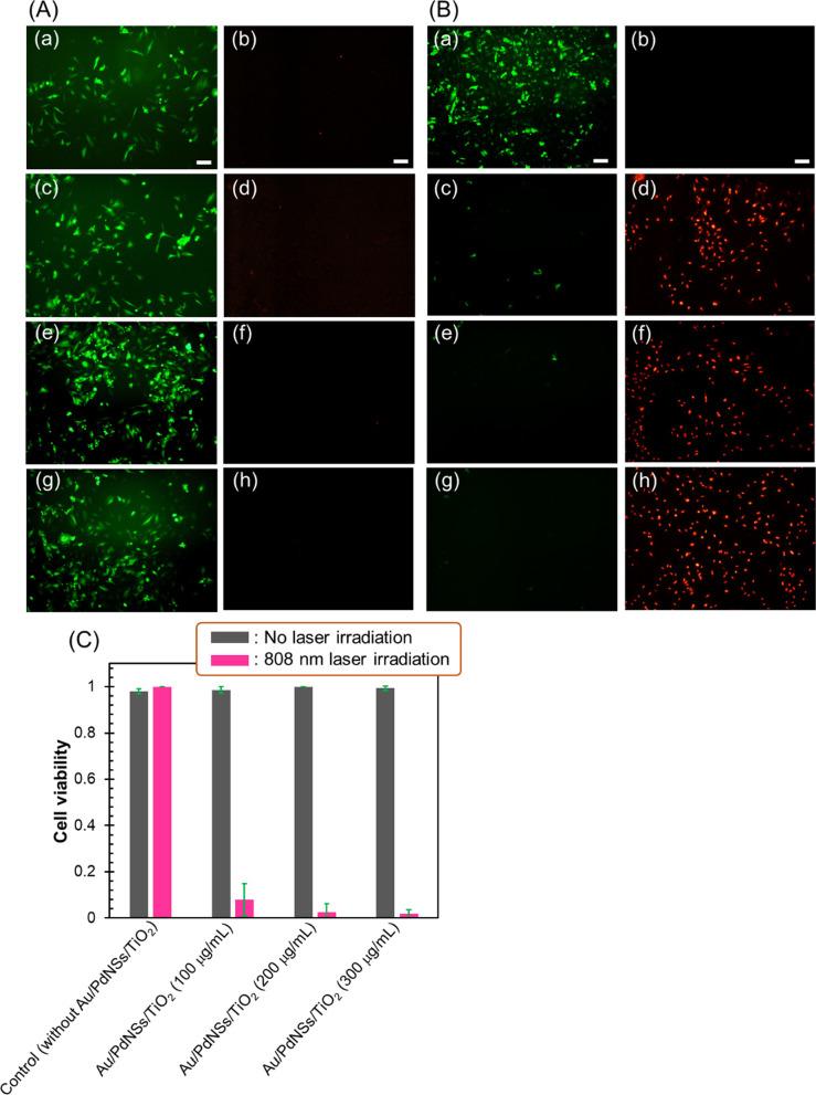 https://cdn.ncbi.nlm.nih.gov/pmc/blobs/fdeb/9226246/43cf92d57925/11671_2022_3697_Fig5_HTML.jpg