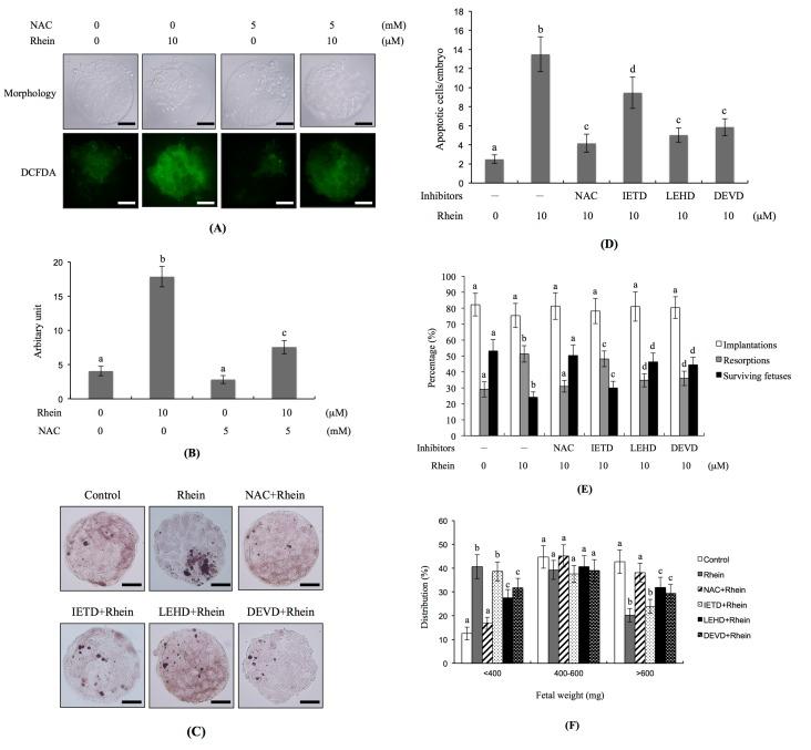 https://cdn.ncbi.nlm.nih.gov/pmc/blobs/fdec/5618666/c4c6f1f728ec/ijms-18-02018-g005.jpg