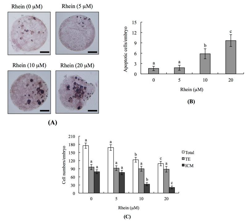 https://cdn.ncbi.nlm.nih.gov/pmc/blobs/fdec/5618666/d21fb1f549fa/ijms-18-02018-g001.jpg