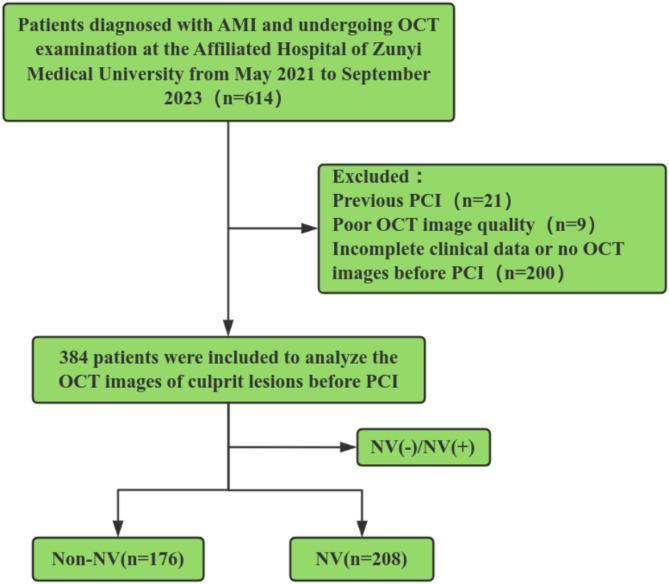 https://cdn.ncbi.nlm.nih.gov/pmc/blobs/fded/12317499/10dfcbedd8f5/12872_2025_4995_Fig2_HTML.jpg
