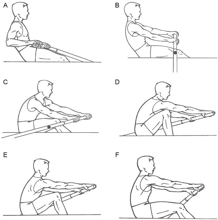 https://cdn.ncbi.nlm.nih.gov/pmc/blobs/fdee/3435926/0130730c7cff/10.1177_1941738112442484-fig1.jpg