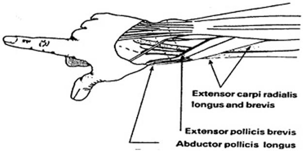https://cdn.ncbi.nlm.nih.gov/pmc/blobs/fdee/3435926/0249d08d2a98/10.1177_1941738112442484-fig8.jpg