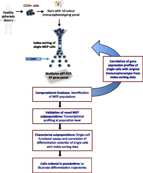 https://cdn.ncbi.nlm.nih.gov/pmc/blobs/fdef/4855892/03db03c3db36/13059_2016_939_Fig1_HTML.jpg
