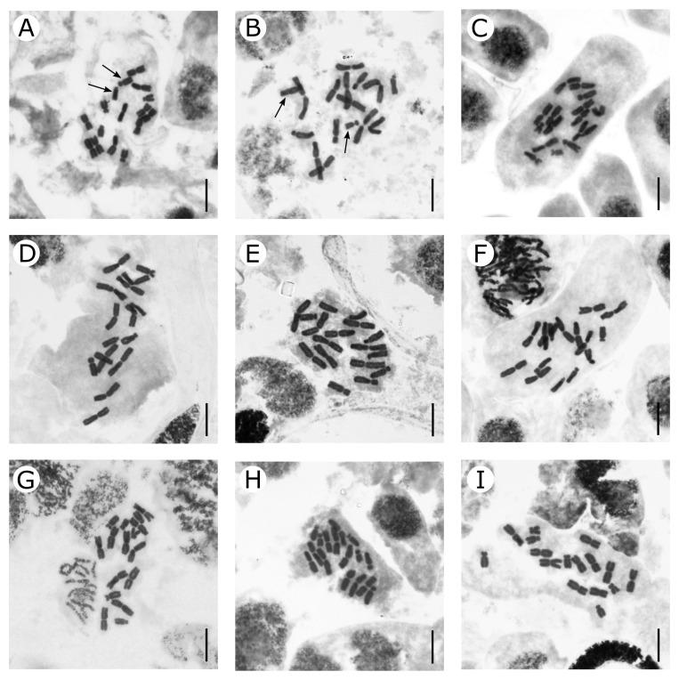 https://cdn.ncbi.nlm.nih.gov/pmc/blobs/fdf0/10780877/e2ae712c4038/plants-13-00047-g002.jpg