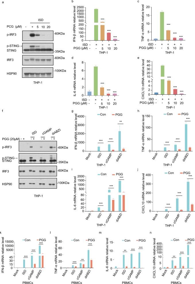 https://cdn.ncbi.nlm.nih.gov/pmc/blobs/fdf1/11428449/9eab4bd65550/10020_2024_924_Fig2_HTML.jpg