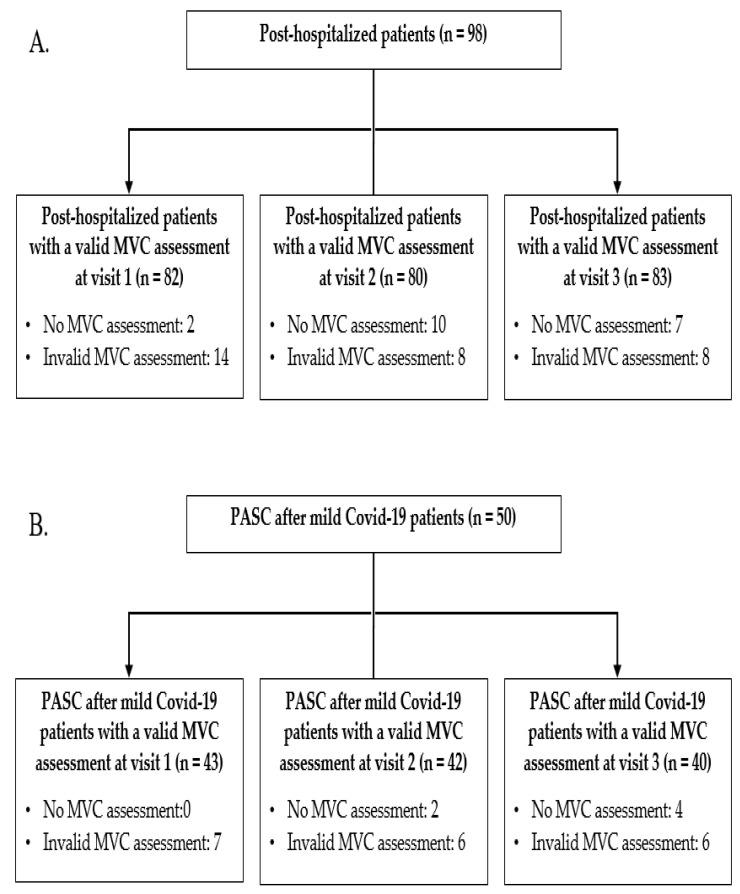 https://cdn.ncbi.nlm.nih.gov/pmc/blobs/fdf1/9608500/dc8b3a6a3837/nutrients-14-04319-g001.jpg