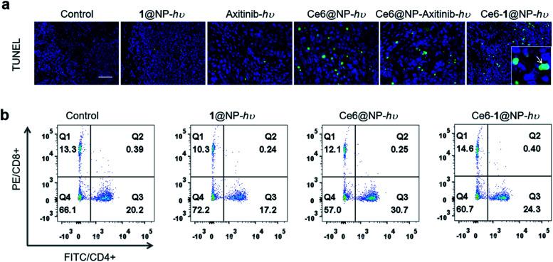 https://cdn.ncbi.nlm.nih.gov/pmc/blobs/fdf2/9365088/67a0ffadb8b0/d2sc02554j-f6.jpg