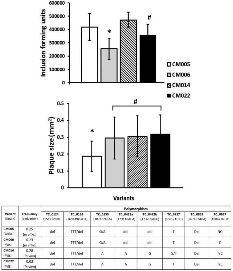 https://cdn.ncbi.nlm.nih.gov/pmc/blobs/fdf3/4399565/9f399f86b4aa/ftv003fig3.jpg