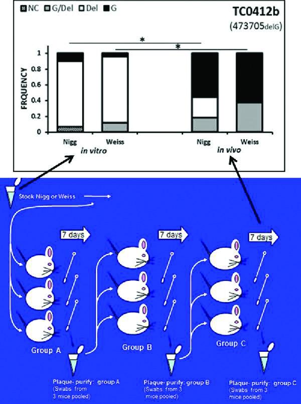 https://cdn.ncbi.nlm.nih.gov/pmc/blobs/fdf3/4399565/a22eb0ad78f3/ftv003fig1g.jpg