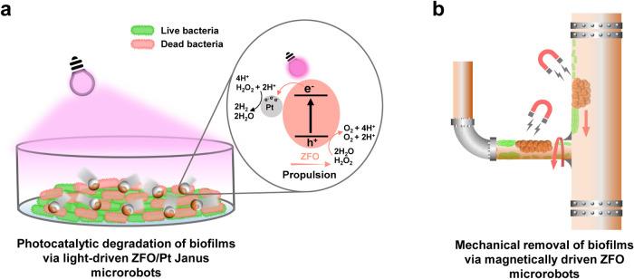 https://cdn.ncbi.nlm.nih.gov/pmc/blobs/fdf4/11744513/858d1b7ad571/am4c18360_0006.jpg