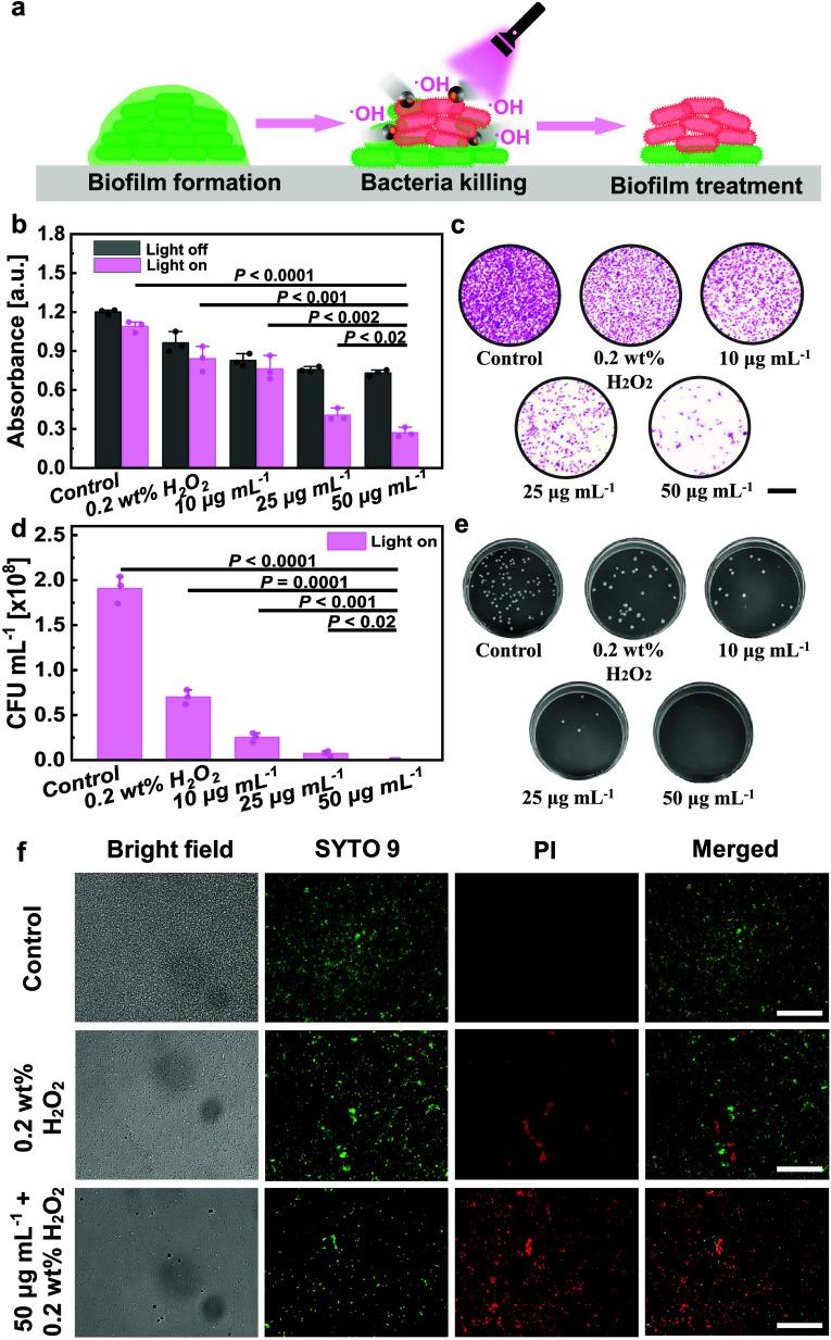 https://cdn.ncbi.nlm.nih.gov/pmc/blobs/fdf4/11744513/fc3986a34336/am4c18360_0004.jpg