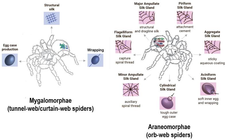 https://cdn.ncbi.nlm.nih.gov/pmc/blobs/fdf5/7559941/ca0c141ed458/nanomaterials-10-01853-g001.jpg