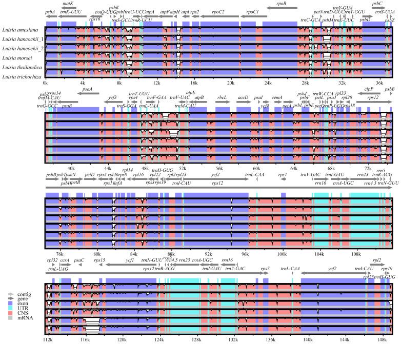 https://cdn.ncbi.nlm.nih.gov/pmc/blobs/fdf6/10815154/6ae348166fdf/genes-15-00020-g006.jpg