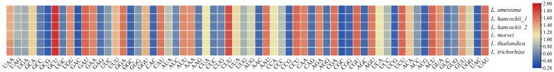 https://cdn.ncbi.nlm.nih.gov/pmc/blobs/fdf6/10815154/70eb4ab8d5ba/genes-15-00020-g004.jpg