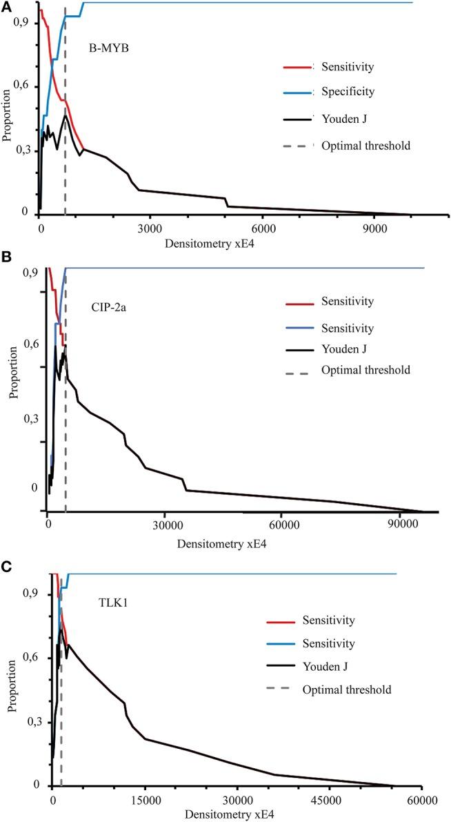 https://cdn.ncbi.nlm.nih.gov/pmc/blobs/fdf7/6456695/51e6840d0dd0/fonc-09-00213-g0004.jpg