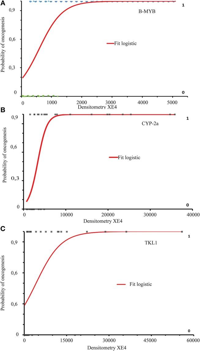 https://cdn.ncbi.nlm.nih.gov/pmc/blobs/fdf7/6456695/6bf24d886065/fonc-09-00213-g0005.jpg