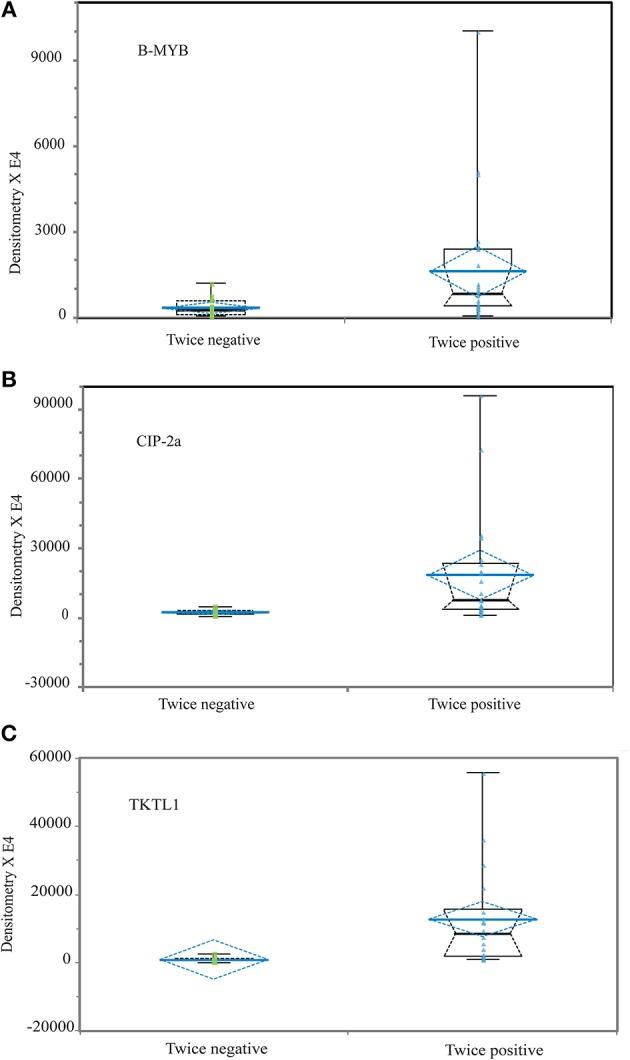 https://cdn.ncbi.nlm.nih.gov/pmc/blobs/fdf7/6456695/845aabd7bbe8/fonc-09-00213-g0002.jpg
