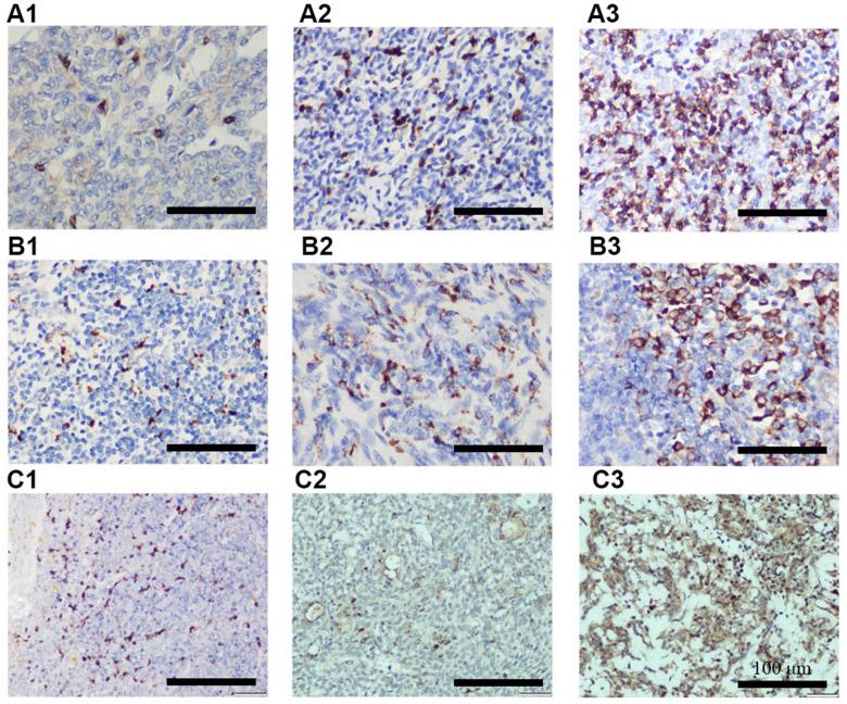 https://cdn.ncbi.nlm.nih.gov/pmc/blobs/fdf7/9217705/61262f3b305a/aging-14-204108-g003.jpg