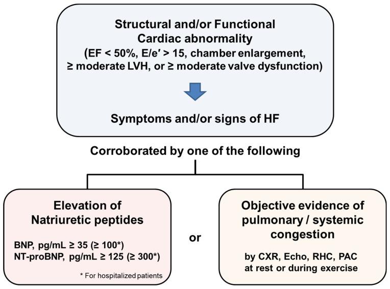https://cdn.ncbi.nlm.nih.gov/pmc/blobs/fdf7/9221556/df64f9203dfd/diagnostics-12-01366-g001.jpg