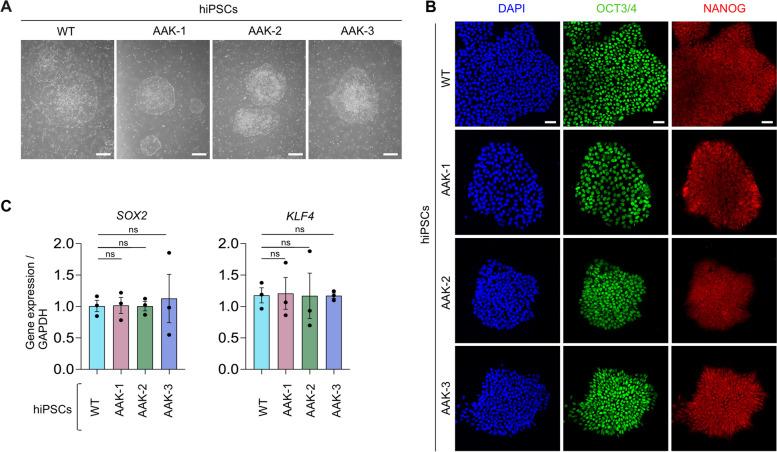 https://cdn.ncbi.nlm.nih.gov/pmc/blobs/fdf8/11724546/7d10241fca2f/12886_2024_3831_Fig2_HTML.jpg