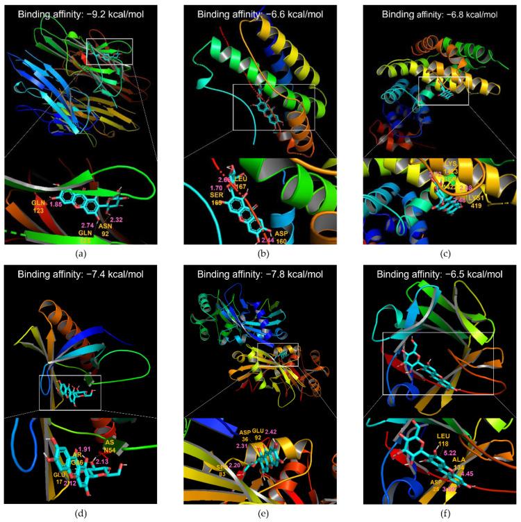 https://cdn.ncbi.nlm.nih.gov/pmc/blobs/fdf8/9735994/ff3c733f5cce/ijms-23-15329-g002.jpg