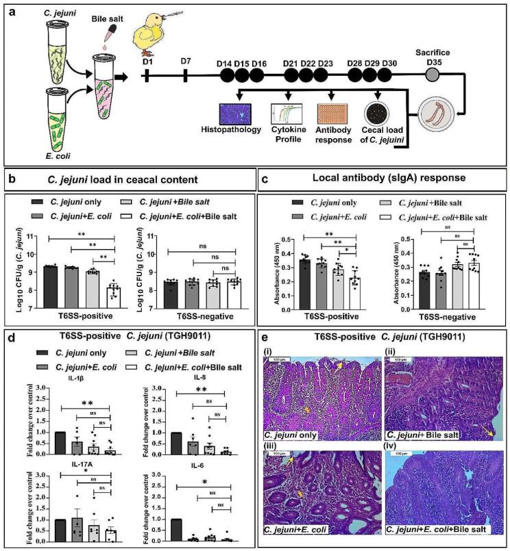 https://cdn.ncbi.nlm.nih.gov/pmc/blobs/fdf9/11245787/22c274824358/13099_2024_628_Fig5_HTML.jpg
