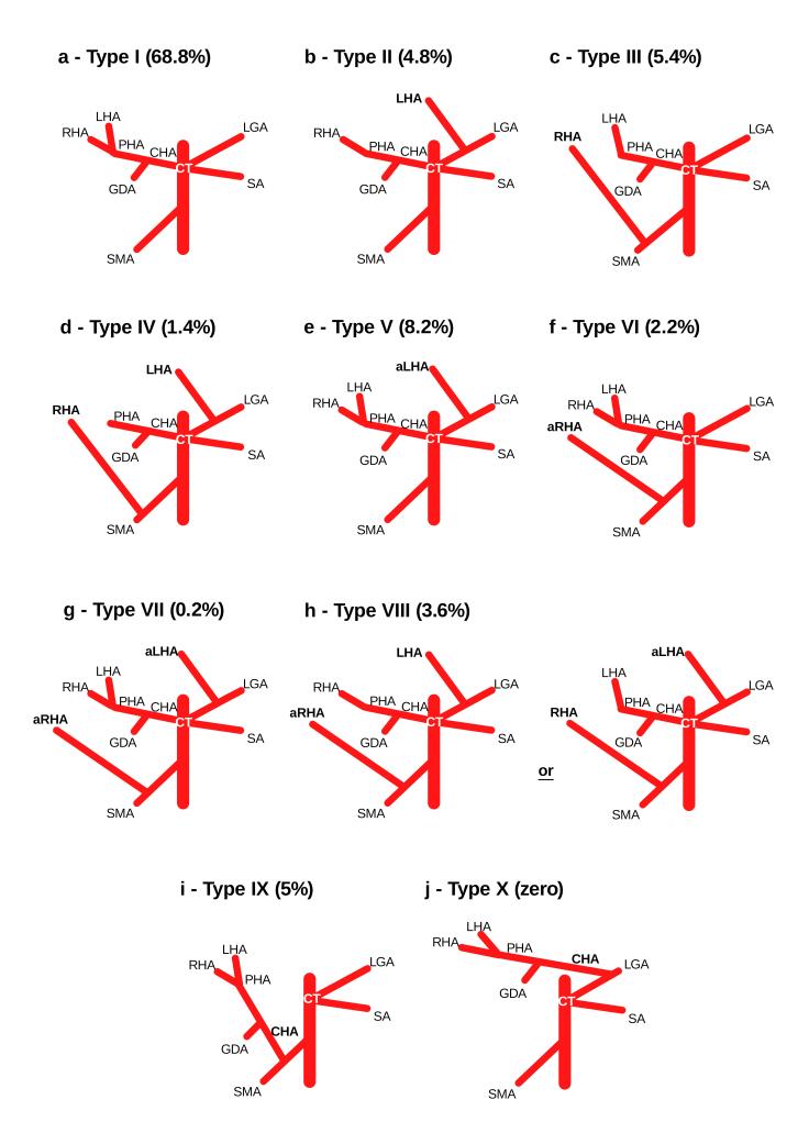 https://cdn.ncbi.nlm.nih.gov/pmc/blobs/fdfa/12143226/962fb1b7fd79/jvb-24-e20240110-g01-en.jpg