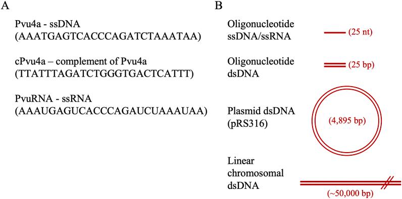 https://cdn.ncbi.nlm.nih.gov/pmc/blobs/fdfa/9868539/5c88bae108b9/gr2.jpg