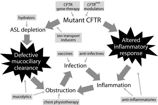 https://cdn.ncbi.nlm.nih.gov/pmc/blobs/fdfd/3425089/ab46199adcd0/1741-7015-10-88-1.jpg