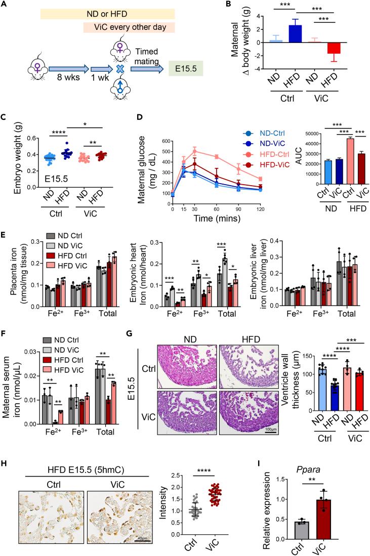 https://cdn.ncbi.nlm.nih.gov/pmc/blobs/fdfe/11388159/496a15236656/gr3.jpg