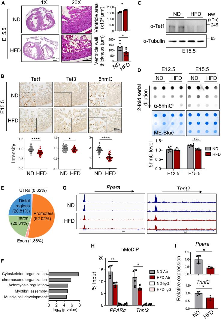 https://cdn.ncbi.nlm.nih.gov/pmc/blobs/fdfe/11388159/96bc4db2781e/gr2.jpg