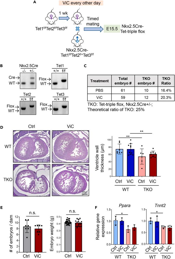 https://cdn.ncbi.nlm.nih.gov/pmc/blobs/fdfe/11388159/ab5551da24f9/gr4.jpg