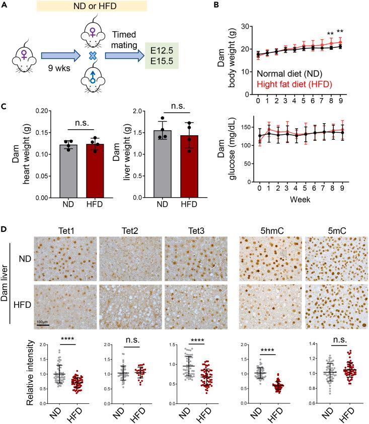 https://cdn.ncbi.nlm.nih.gov/pmc/blobs/fdfe/11388159/adea7cf3027b/gr1.jpg