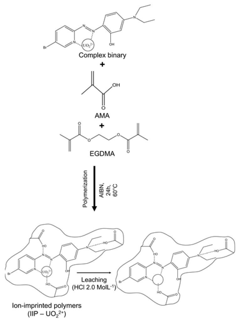 https://cdn.ncbi.nlm.nih.gov/pmc/blobs/fdff/10221341/967cbd312b16/molecules-28-04065-g009.jpg