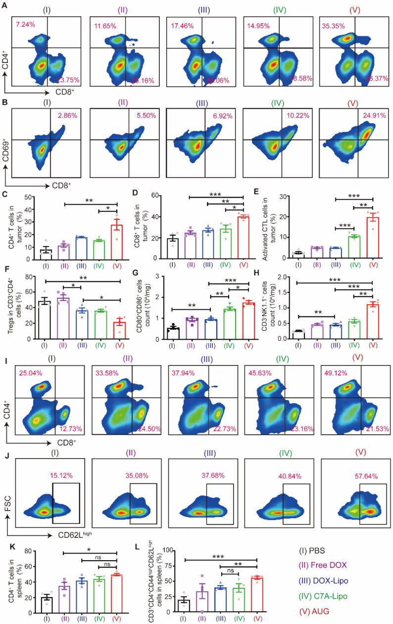 https://cdn.ncbi.nlm.nih.gov/pmc/blobs/fe01/11426243/279c06ff071d/thnov14p5984g005.jpg