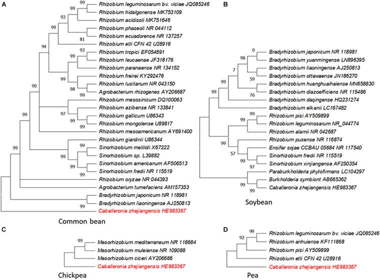 https://cdn.ncbi.nlm.nih.gov/pmc/blobs/fe03/8226219/89bfd36a69e4/fmicb-12-669404-g002.jpg