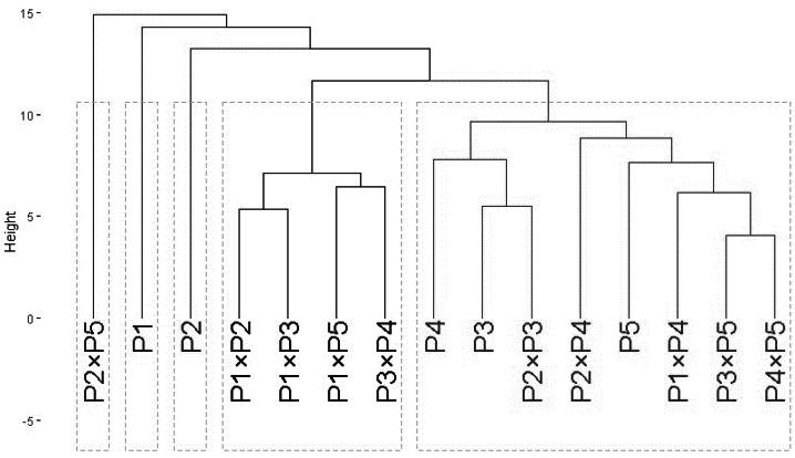 https://cdn.ncbi.nlm.nih.gov/pmc/blobs/fe04/11439381/cfdda5378ec4/peerj-12-18104-g002.jpg