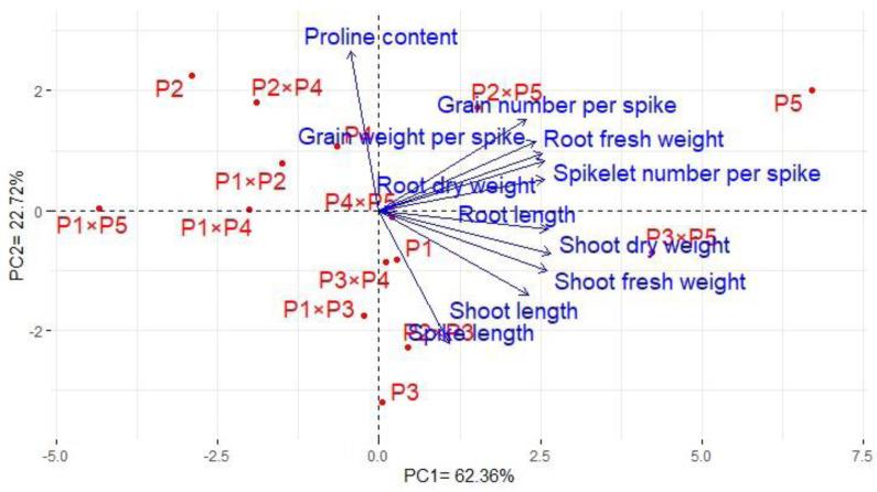 https://cdn.ncbi.nlm.nih.gov/pmc/blobs/fe04/11439381/e5e13d52e9a0/peerj-12-18104-g007.jpg