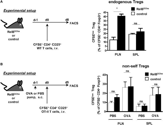https://cdn.ncbi.nlm.nih.gov/pmc/blobs/fe04/5479892/83c61626b3d3/fimmu-08-00726-g004.jpg