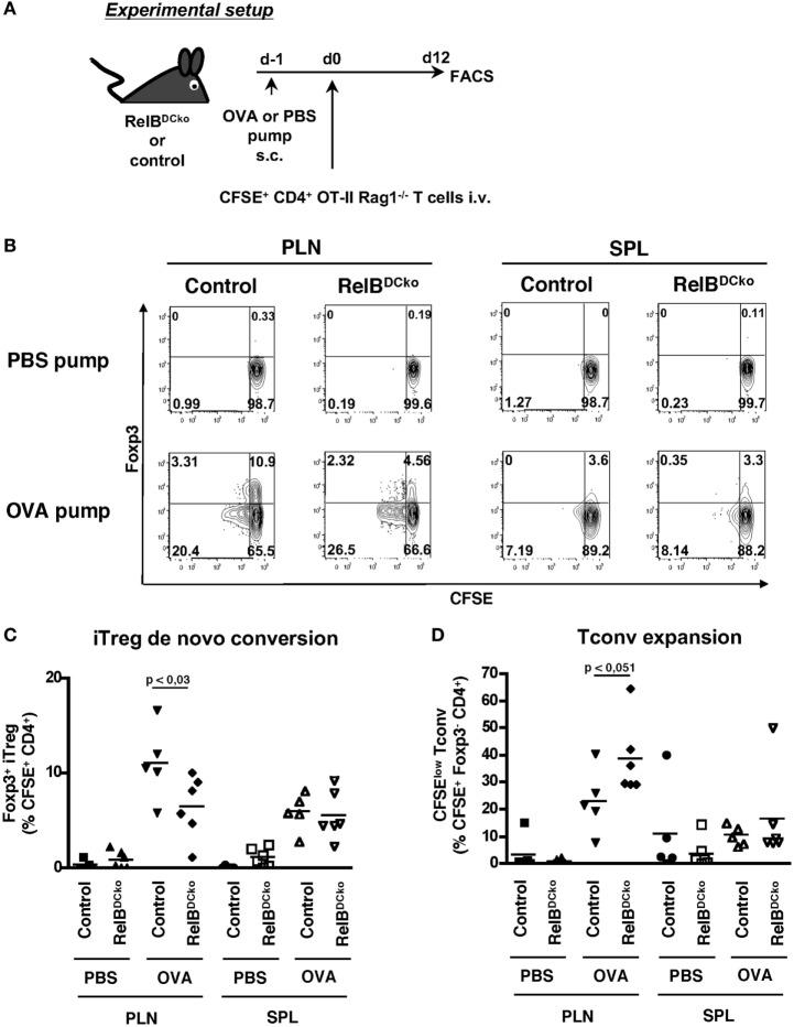 https://cdn.ncbi.nlm.nih.gov/pmc/blobs/fe04/5479892/dd58211ae025/fimmu-08-00726-g003.jpg