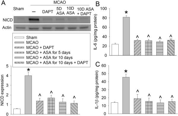 https://cdn.ncbi.nlm.nih.gov/pmc/blobs/fe05/3974223/2882f4ee1a23/1742-2094-11-56-7.jpg