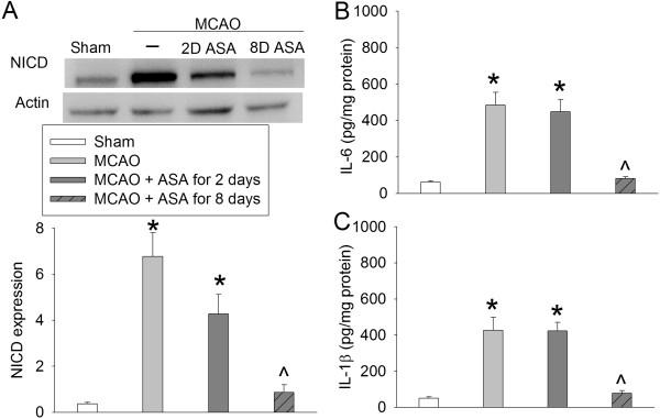 https://cdn.ncbi.nlm.nih.gov/pmc/blobs/fe05/3974223/bafe34658aef/1742-2094-11-56-3.jpg