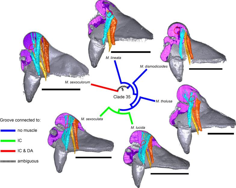 https://cdn.ncbi.nlm.nih.gov/pmc/blobs/fe06/8480068/693ea79abc83/12983_2021_435_Fig18_HTML.jpg