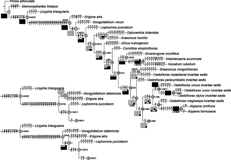https://cdn.ncbi.nlm.nih.gov/pmc/blobs/fe06/8480068/e4d020e6a5d2/12983_2021_435_Fig21_HTML.jpg
