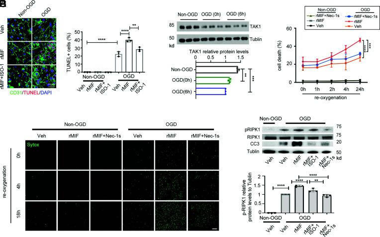 https://cdn.ncbi.nlm.nih.gov/pmc/blobs/fe07/9945963/1aee442f6fbc/pnas.2219091120fig01.jpg